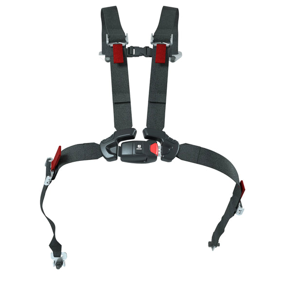 RZR Sub Zero 4-Point Seat Harness - Driver and Passenger, 2-Seat, Qty 1