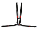 RZR SubZero 4-Pt Harness - Driver-1