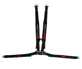 RZR SubZero 4-Pt Harness - Driver